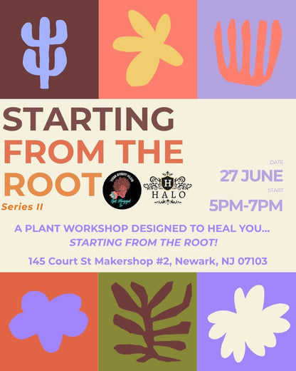 🌿Starting From the Root: A Healing Plant Workshop 🌿(Series II)🌿